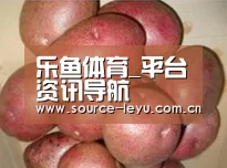 产品展示标题1