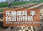 种植基地七(图1)