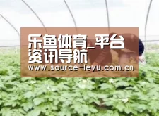 种植基地三