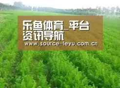 种植基地四