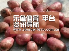 产品展示标题5(图1)