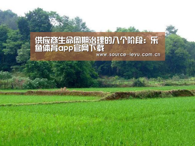 供应商生命周期治理的八个阶段:乐鱼体育app官网下载(图2) 乐鱼体育app下载