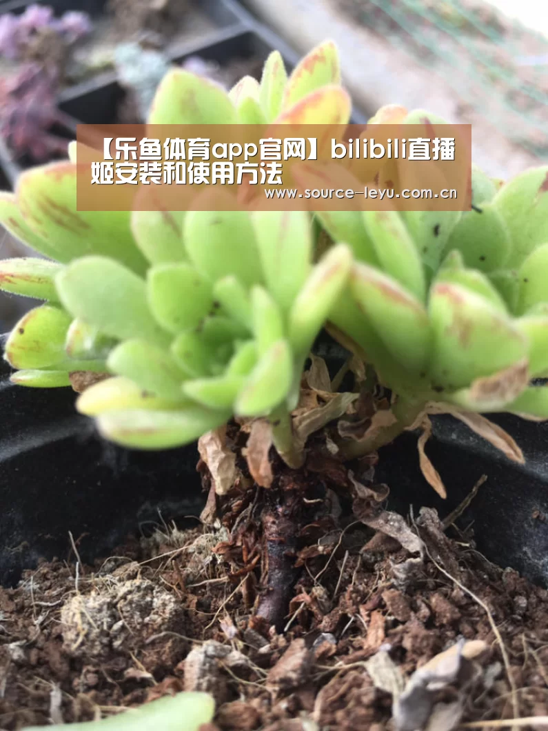 乐鱼体育app官网